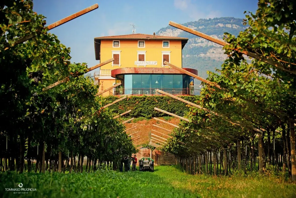 Cantina martinelli ala (tn)